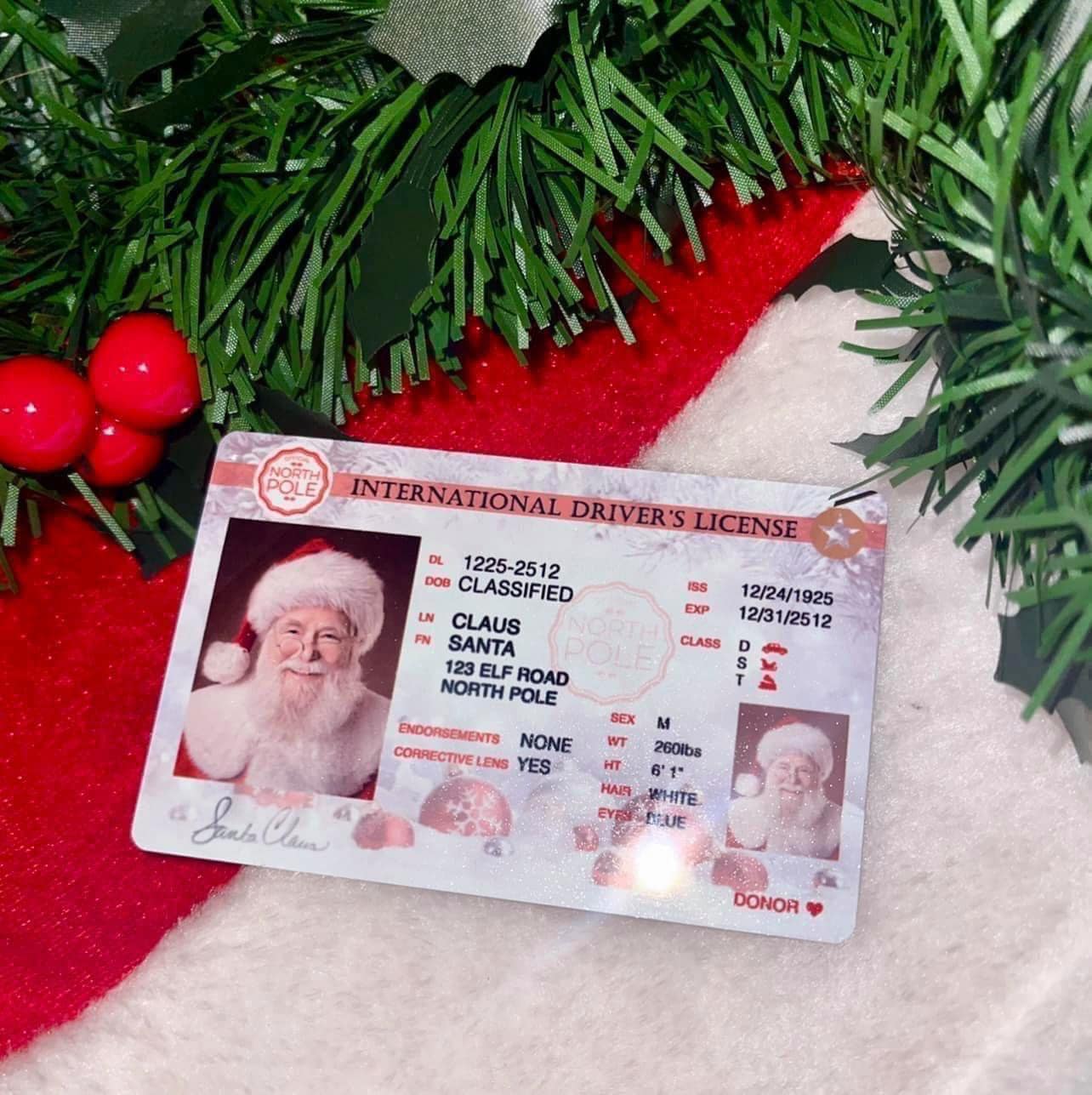 Santa's Sleigh License